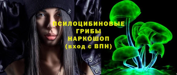 Альфа ПВП Кодинск