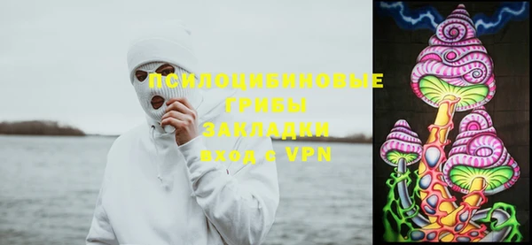 эйфоретик Козловка